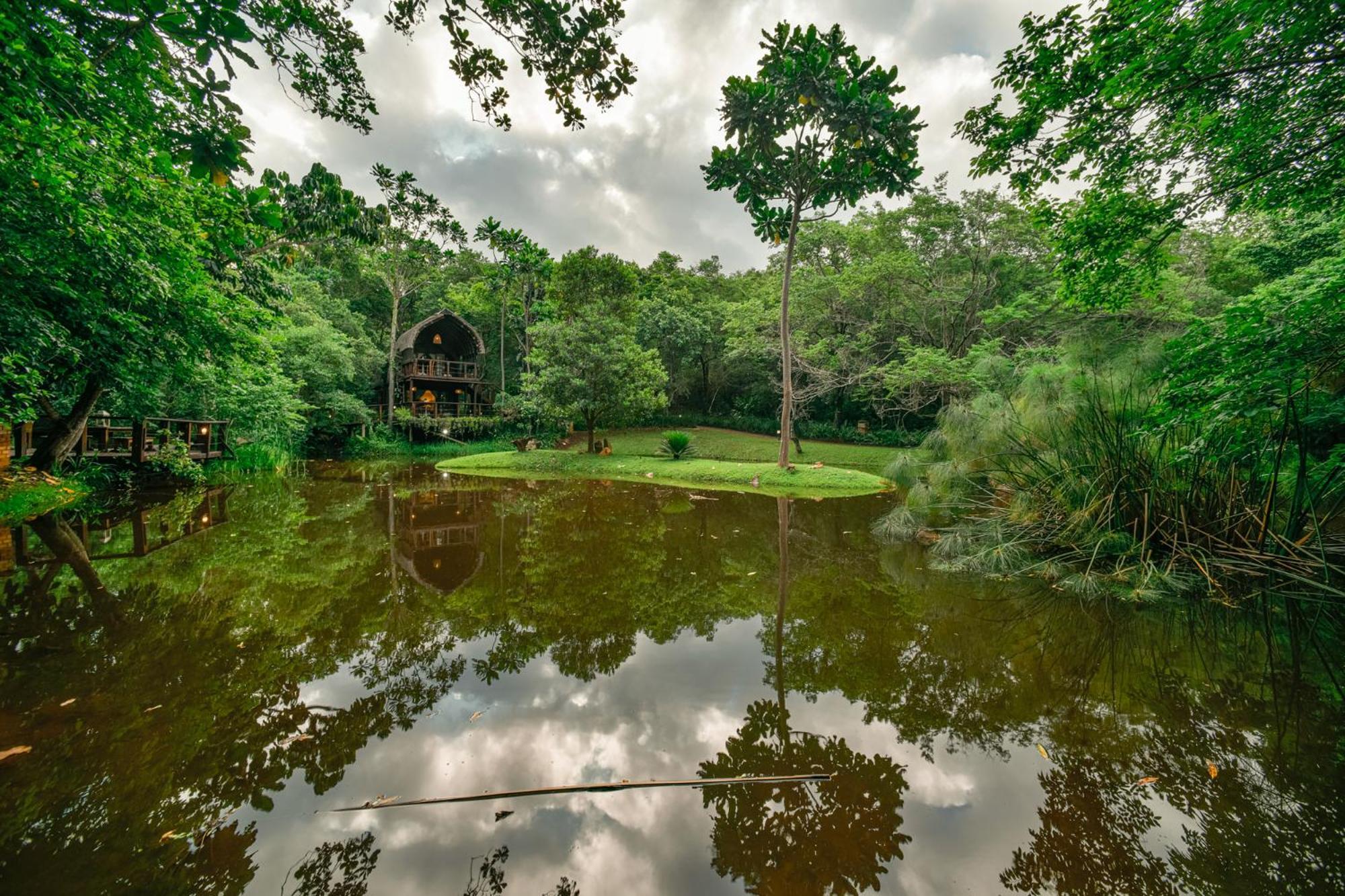 Serenity Mountain And Forest Lodge Малелане Екстер'єр фото